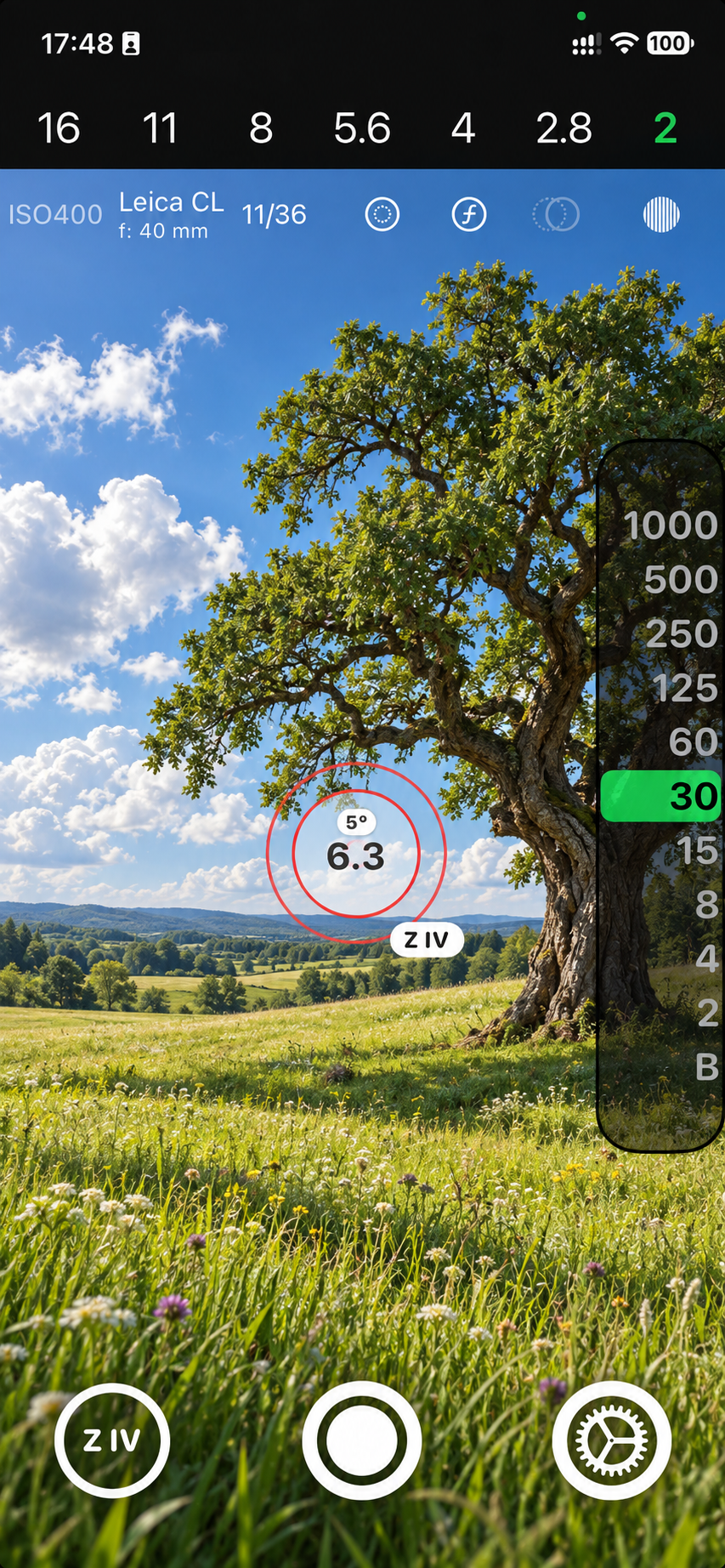 Negativicer interface with an illustrative meadow, an old oak tree and blue sky
